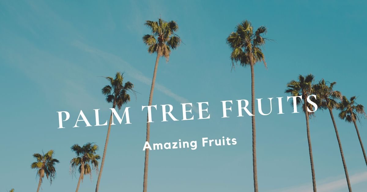 Palm Tree Fruits: The Complete Guide