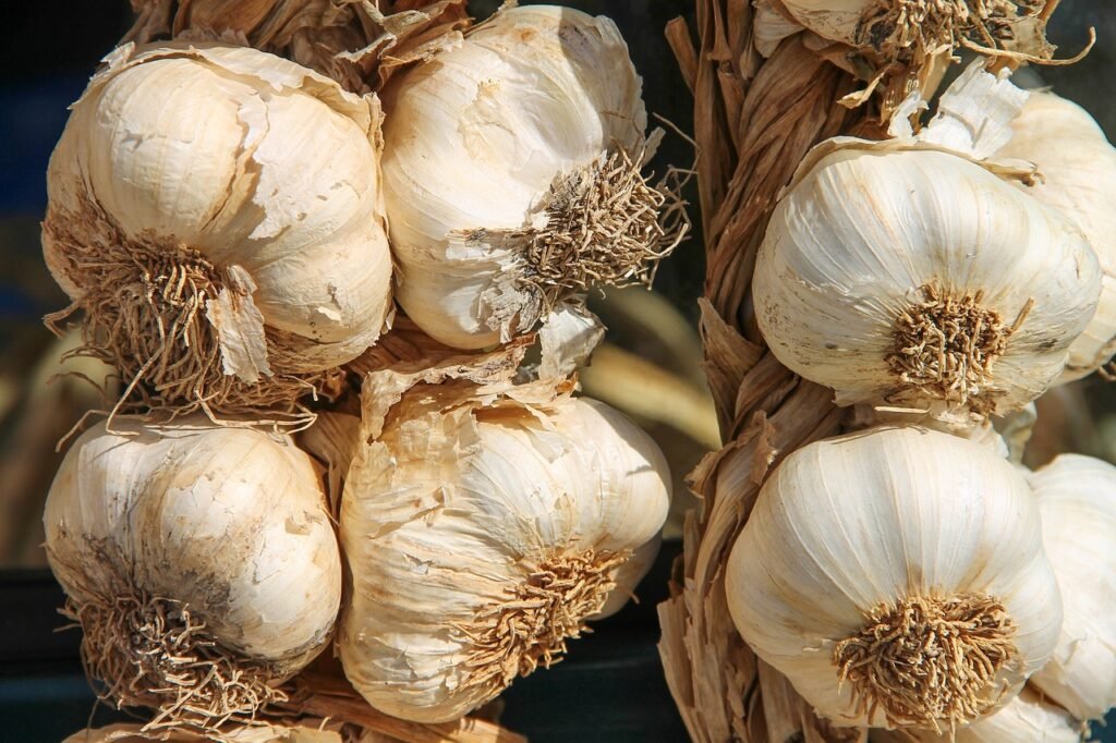 garlic, ingredient, flavor-3747176.jpg