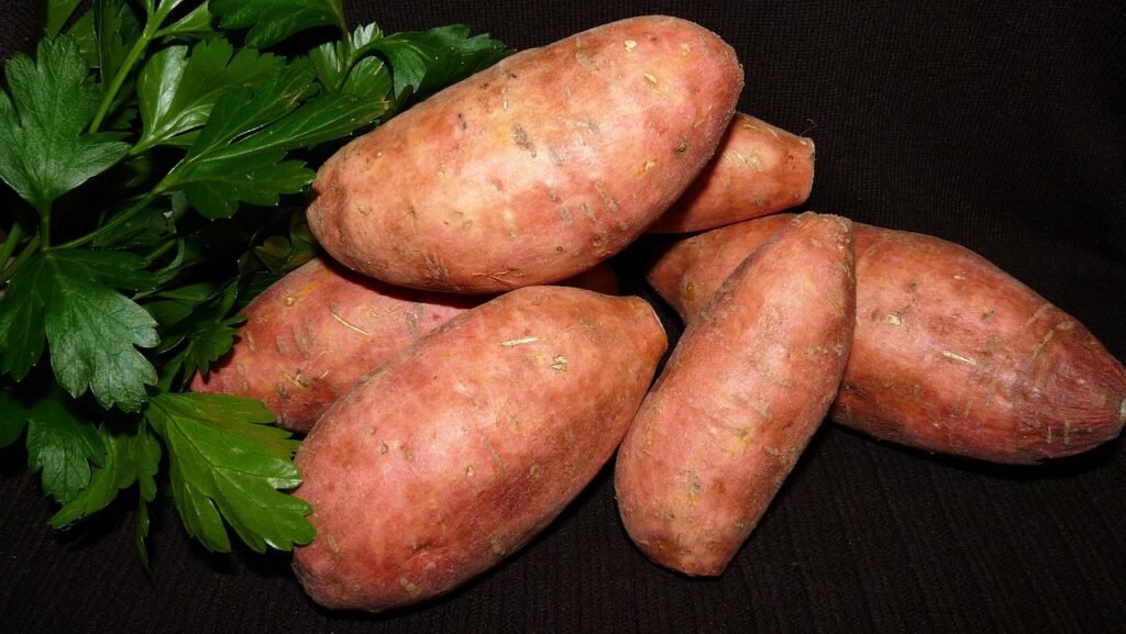 vegetable, red, sweet potato-3559112.jpg