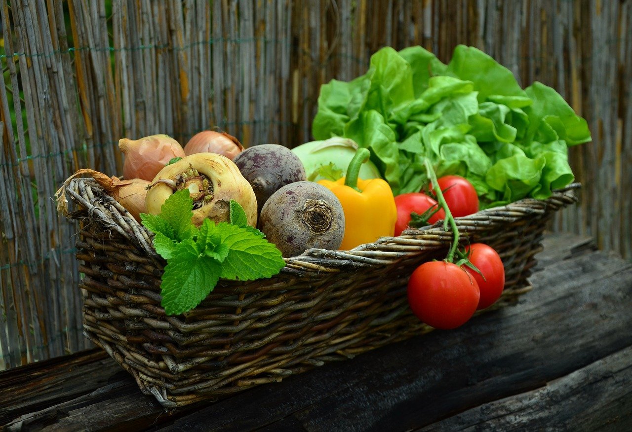 Fiber Feast: Discover Vegetables Rich in Fiber for a Healthier You”