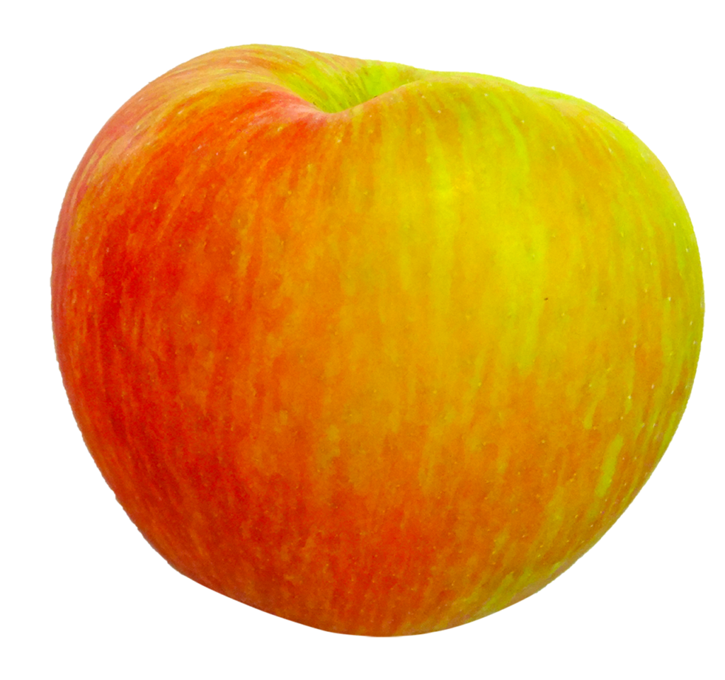 honeycrisp, apple, fruit-1812679.jpg