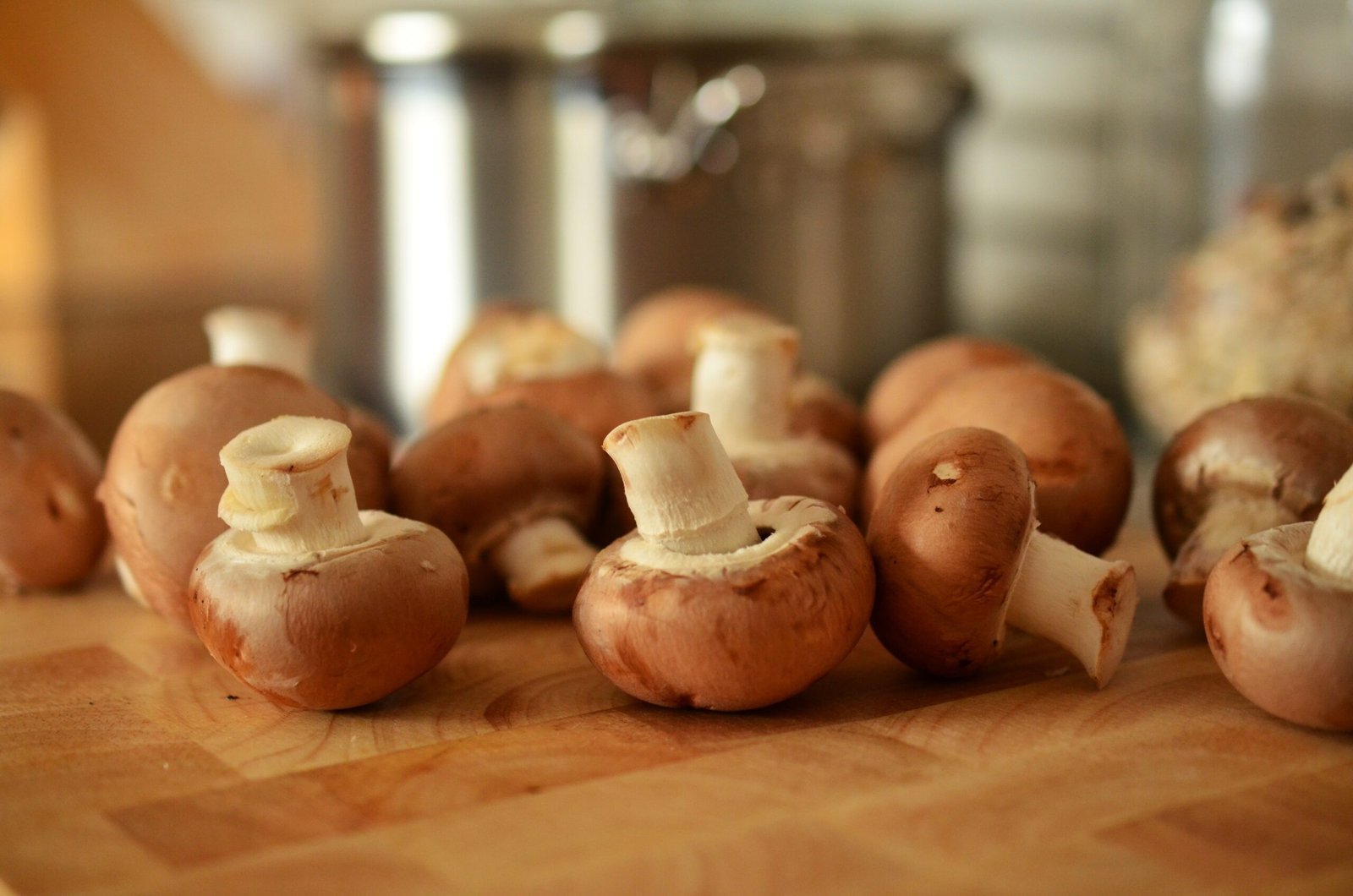 The Edibility of Baby Bella Mushroom Gills: A Comprehensive Guide