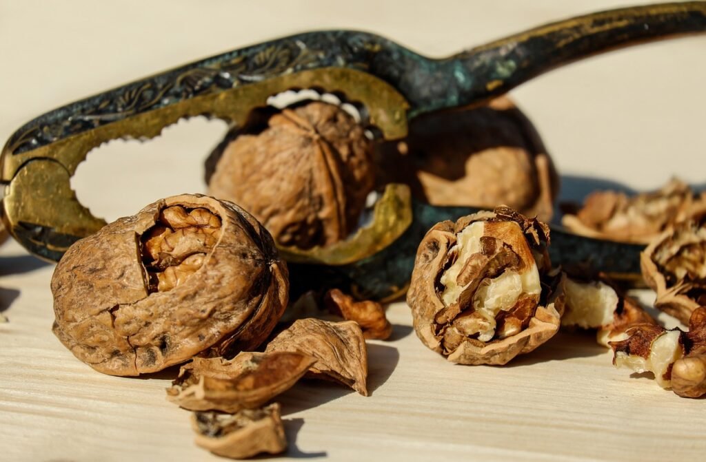 walnut, nut, brown-1751661.jpg
