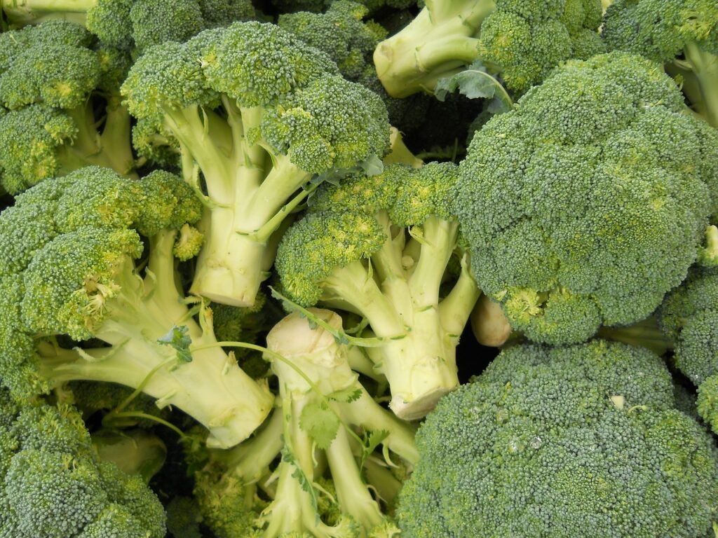 broccoli, green, food-1629643.jpg