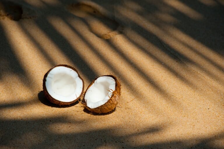 coconut water vs pedialyte