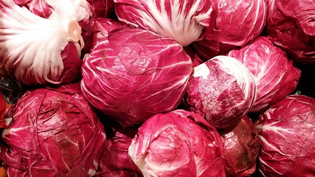 Radicchio vs Red Cabbage