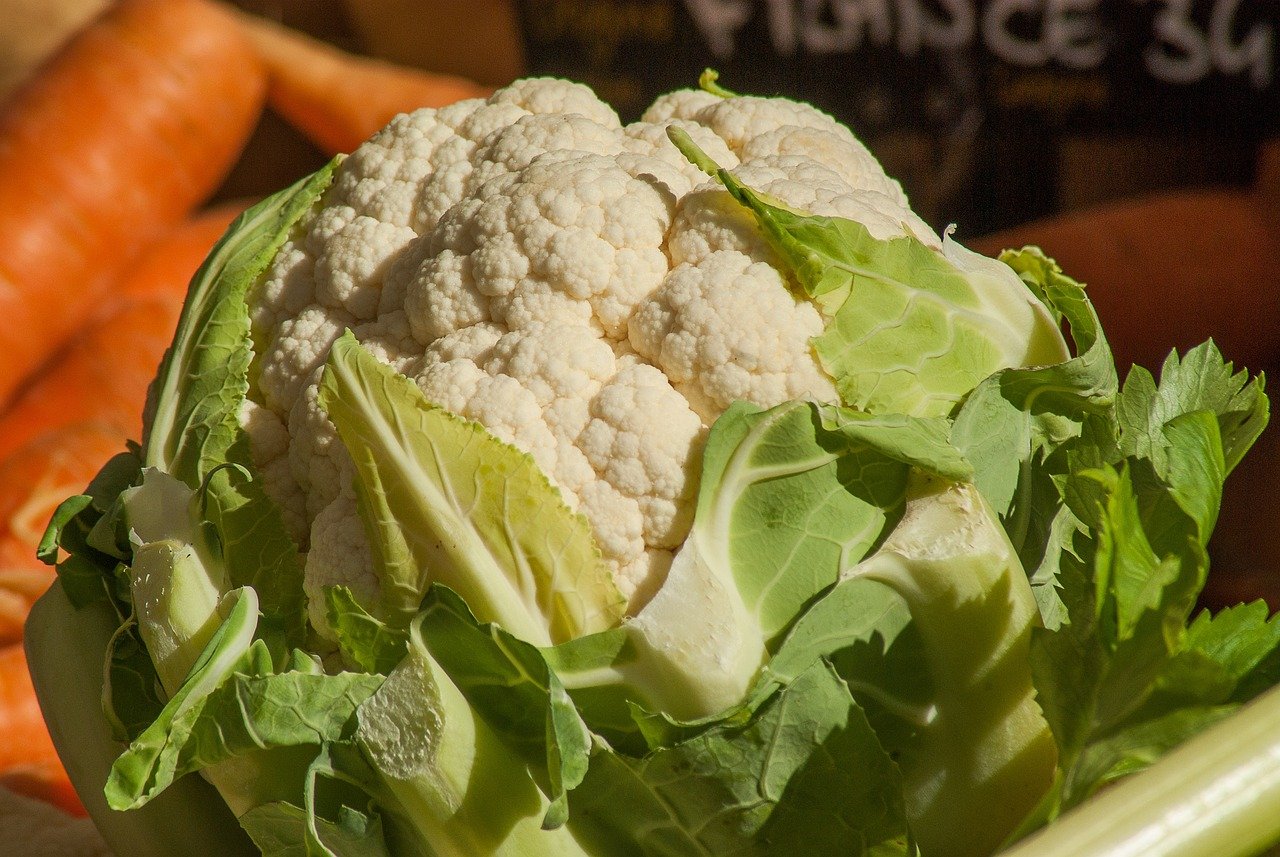 14 Exciting Cauliflower Substitute for Tasty Recipes