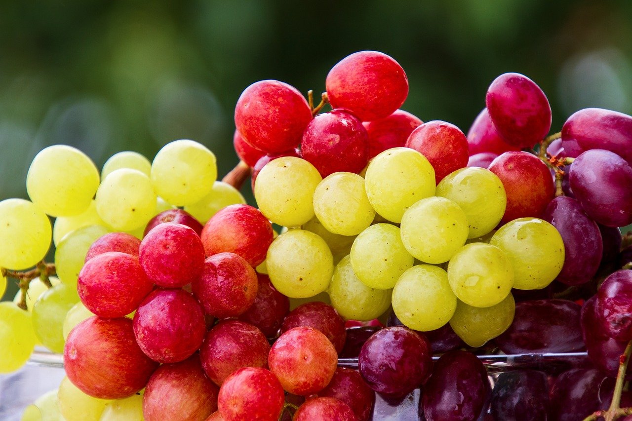 Star Grapes: A Journey to Amazing World of this Fruit