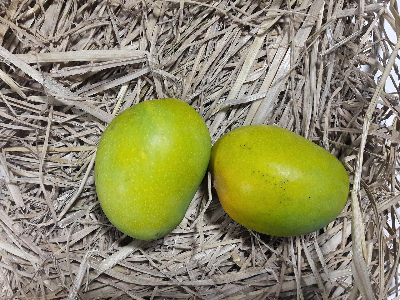 Alphonso Mango Amazing Guide and Facts
