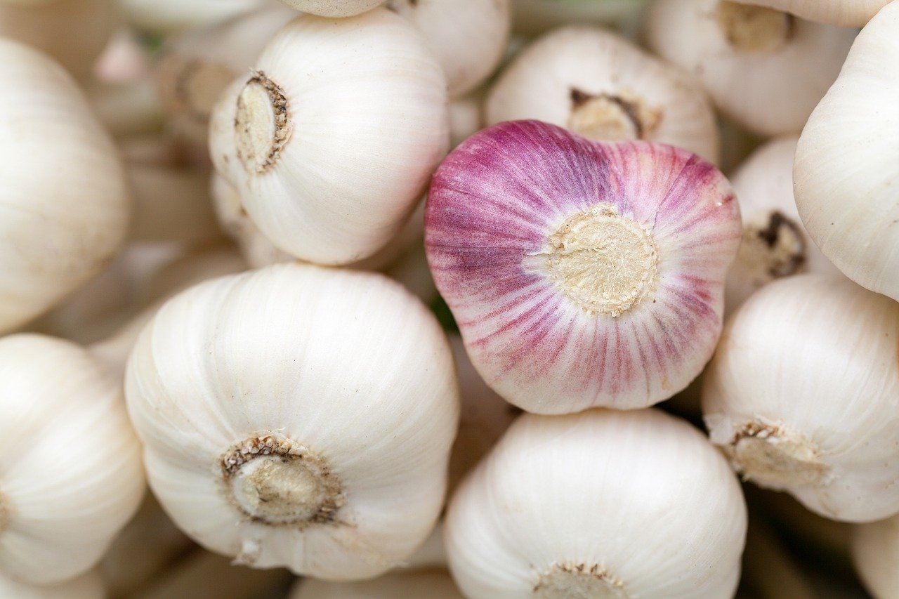 A Complete Guide to Garlic Growing Stages