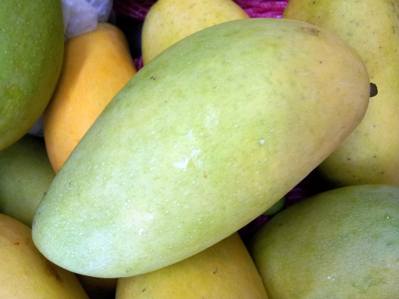 A Complete Guide to the Delicious and Nutritious Dasheri Mango