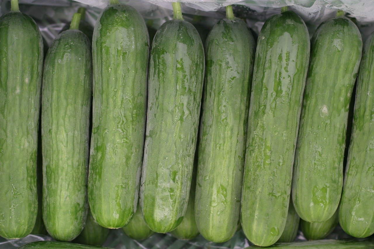 Mini Cucumbers: A Complete Growers Guide