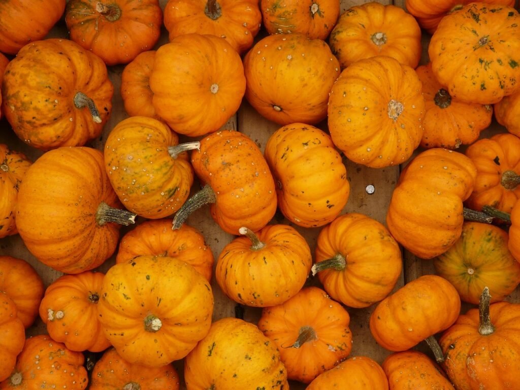 mini pumpkins, pumpkin, mandarin-61278.jpg