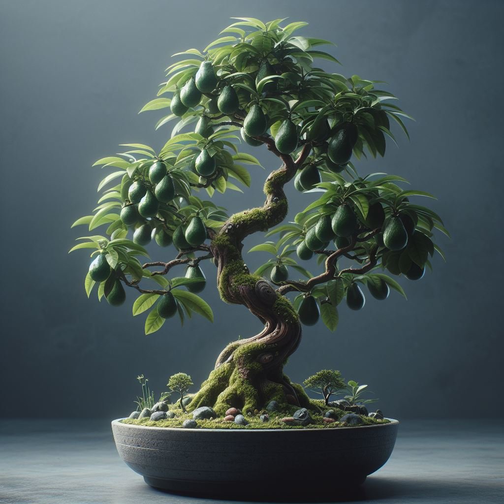 How to Grow and Care for a Bonsai Avocado Tree