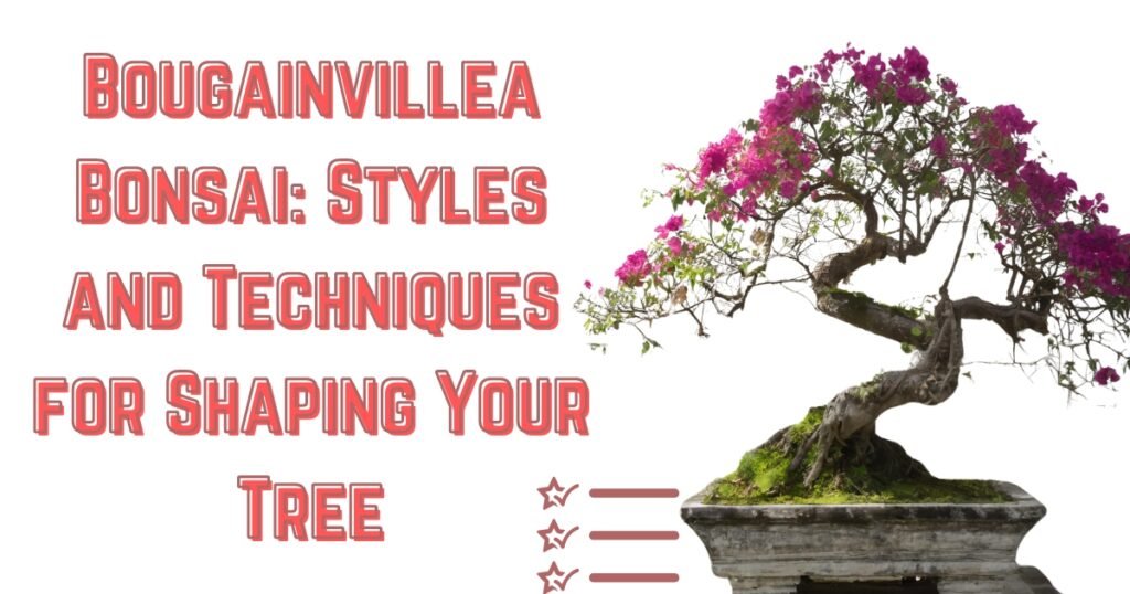 Bougainvillea Bonsai Styles and Techniques for Shaping Your Tree