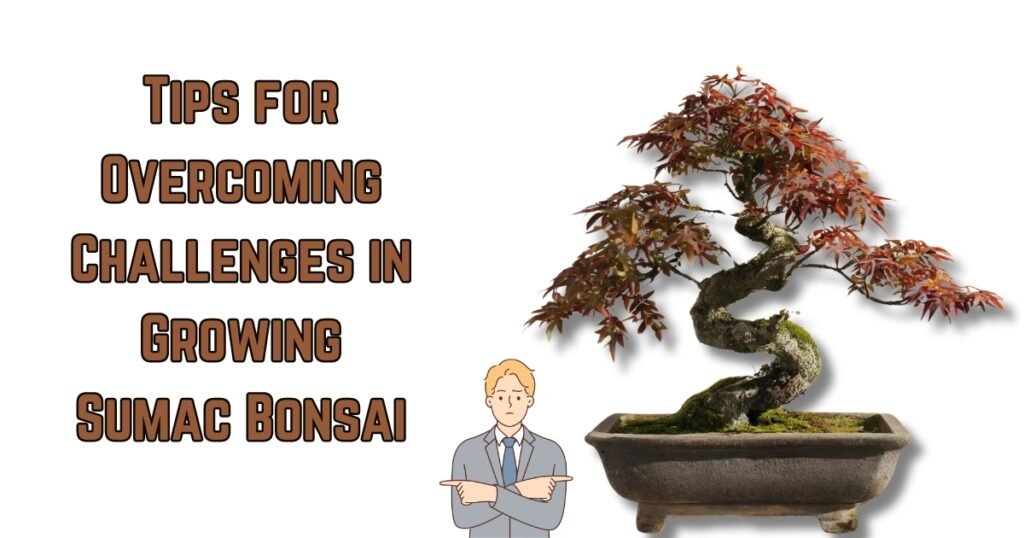 Tips for Overcoming Challenges in Growing Sumac Bonsai